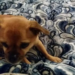 Meet your Posher, Dannelle